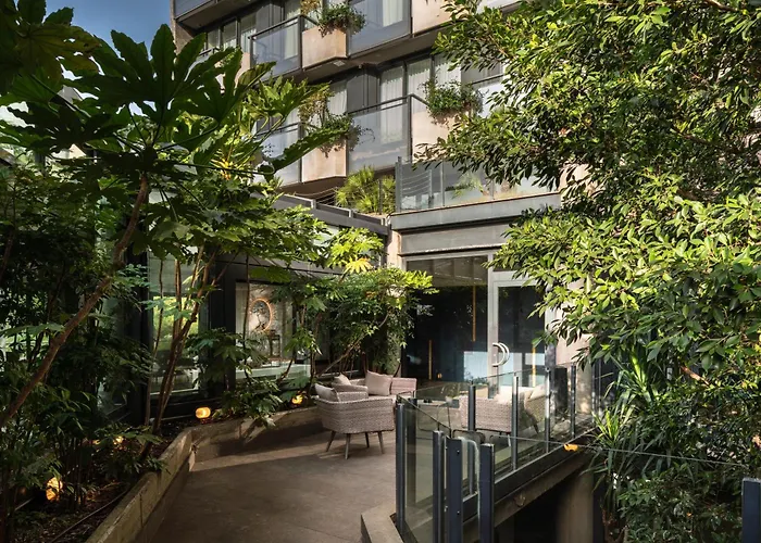 The Nicolaus בארי