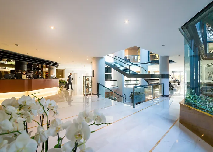 The Nicolaus בארי